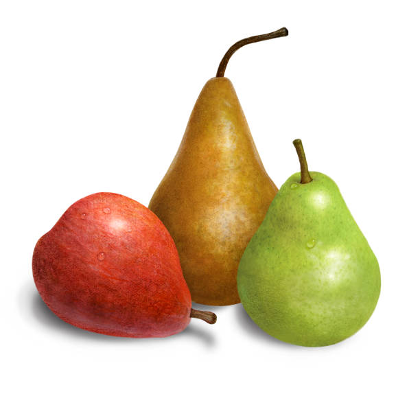 An illustration of three pairs next to each other.